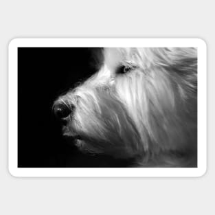 Westie Sticker